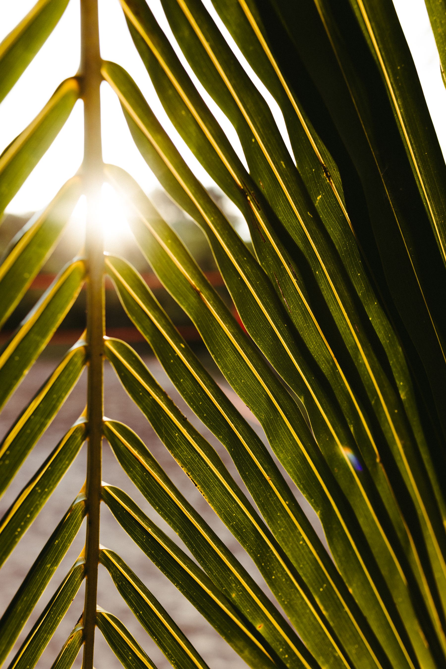 Licensed illustrative Bali wellness image; not Bali Silent Retreat